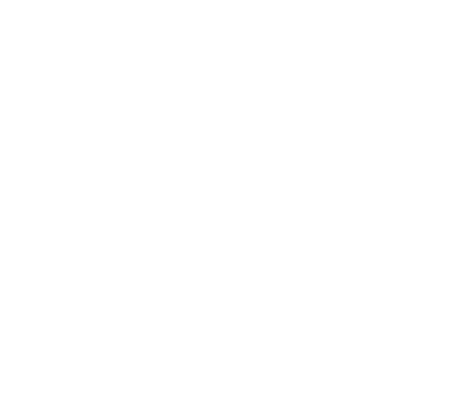 Welshgovlogowhite 5
